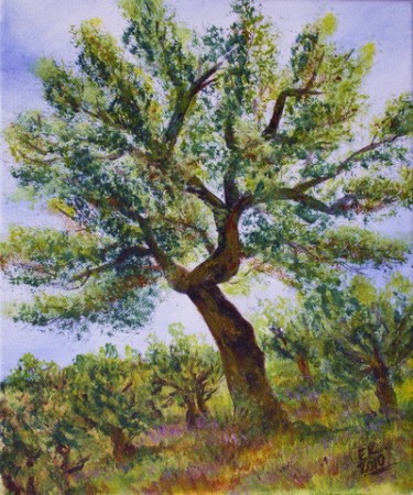 Olive Tree (2010), Acrylics, 25x30cm